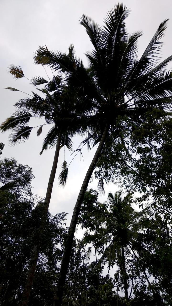 Gasthaus Jungle Joglo Tampaksiring Exterior foto