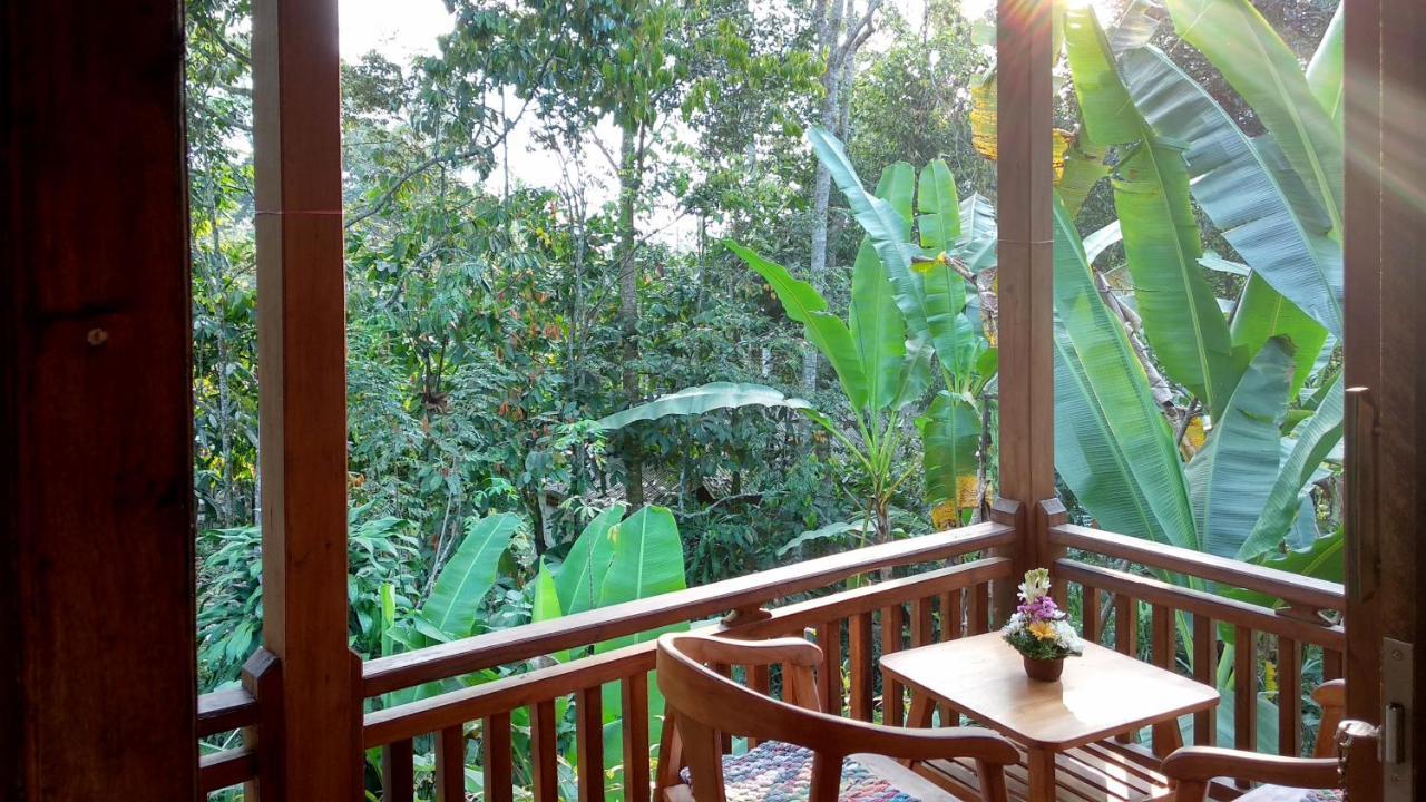Gasthaus Jungle Joglo Tampaksiring Exterior foto